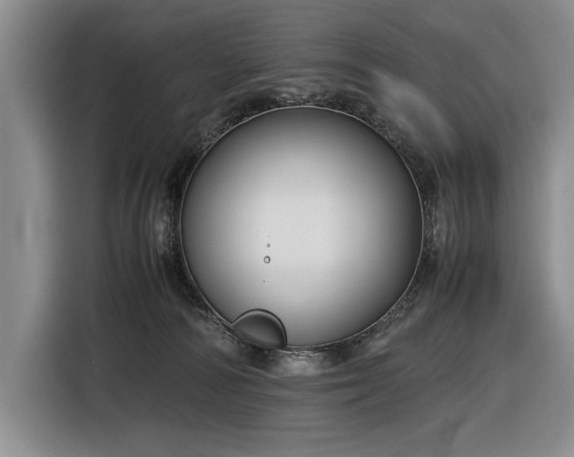 X0000116560226200912171416