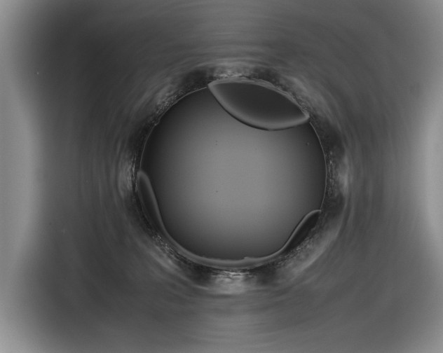 X0000116560227200912171416