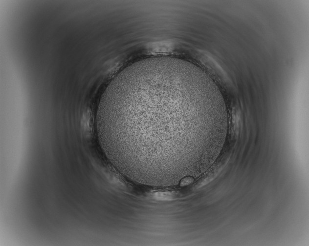 X0000116560228200912171416