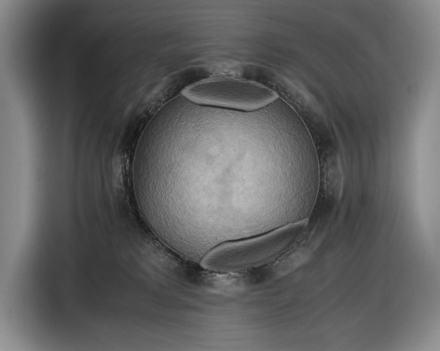 X0000116560229200912171416