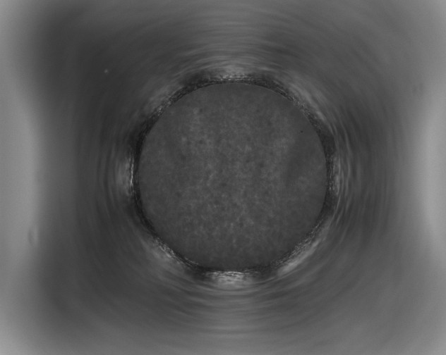 X0000116560230200912171416