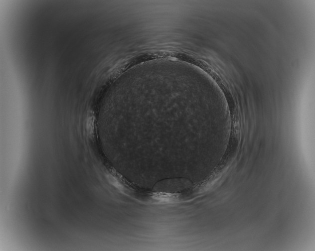 X0000116560231200912171416