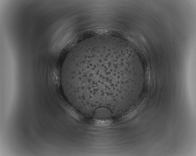 X0000116560234200912171416