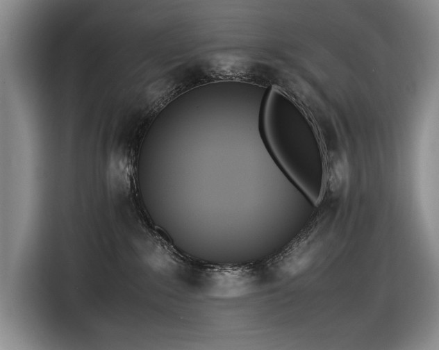 X0000116560235200912171416