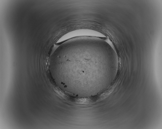 X0000116560237200912171416