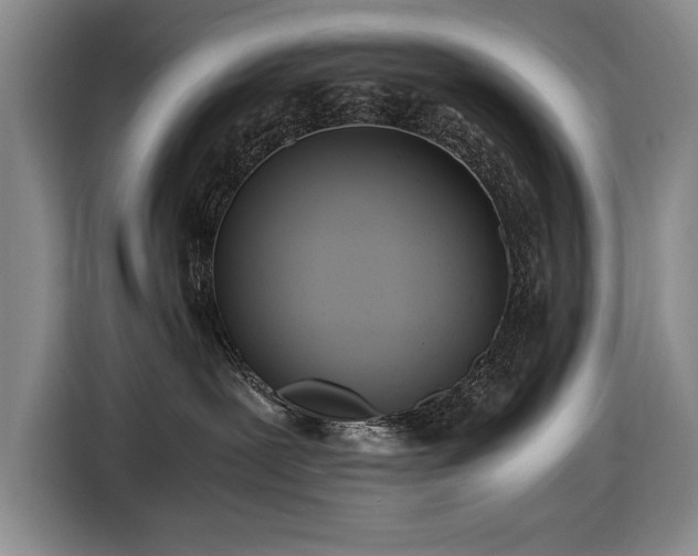 X0000116560239200912171416