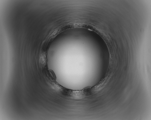 X0000116560240200912171416