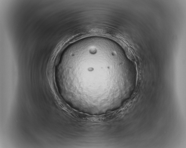 X0000116560241200912171415