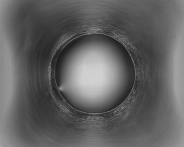 X0000116560242200912171415