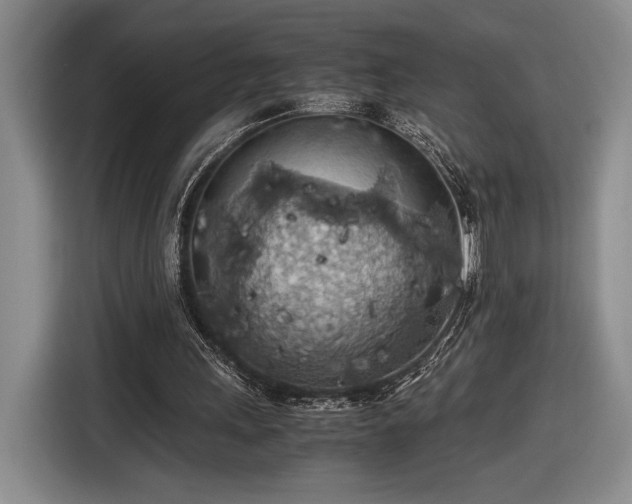 X0000116560243200912171415