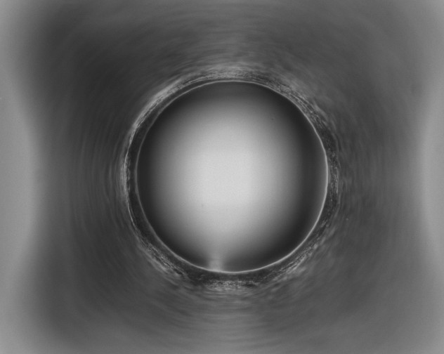 X0000116560244200912171415