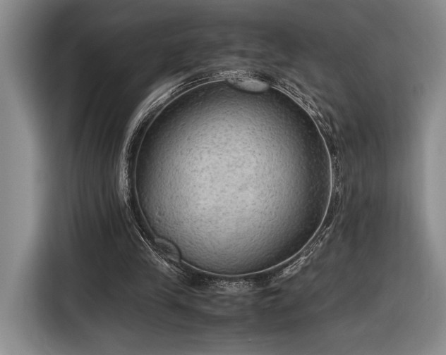 X0000116560245200912171415