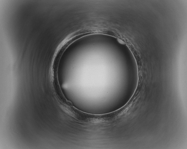 X0000116560246200912171415