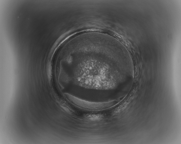 X0000116560247200912171415