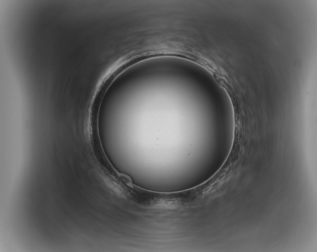 X0000116560248200912171415