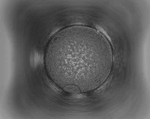 X0000116560249200912171415