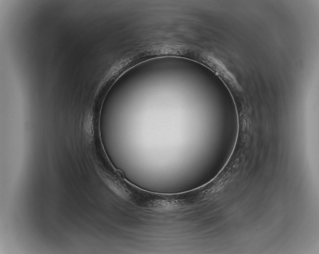 X0000116560250200912171415