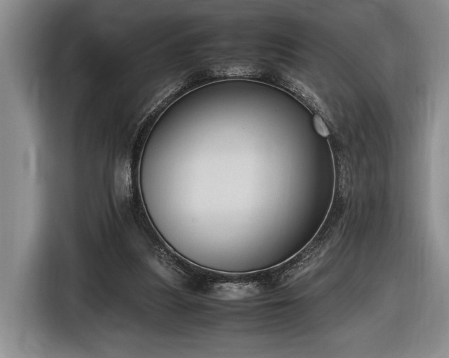 X0000116560251200912171415