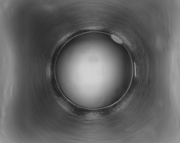 X0000116560252200912171415