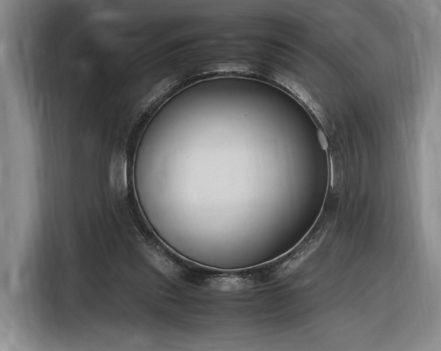 X0000116560253200912171415