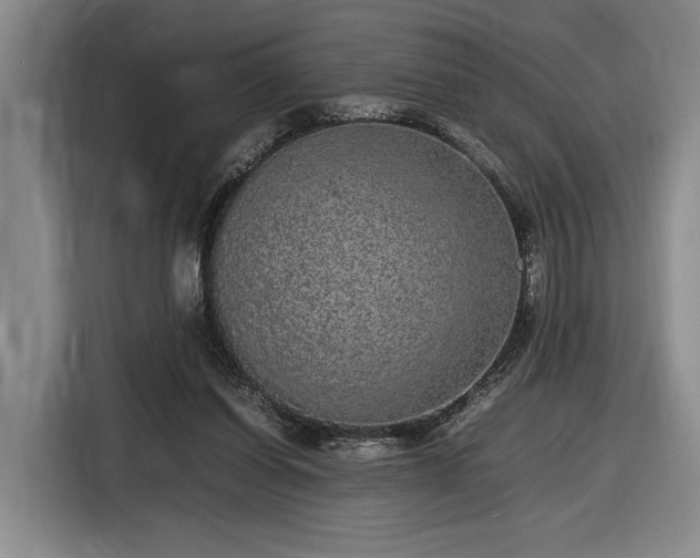 X0000116560254200912171415