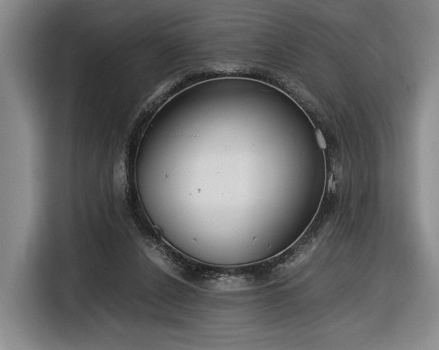 X0000116560256200912171415