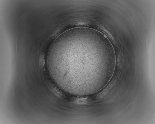 X0000116560257200912171415