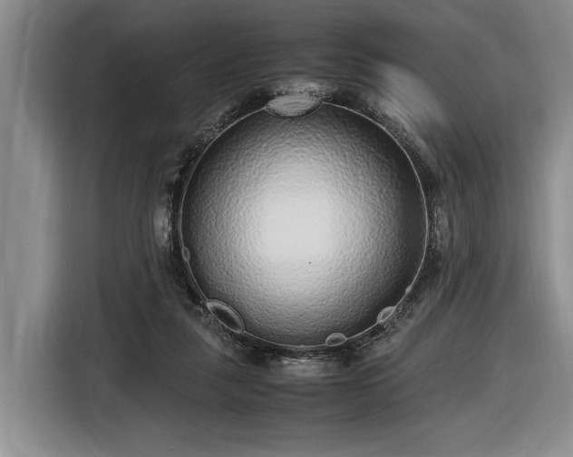 X0000116560259200912171415