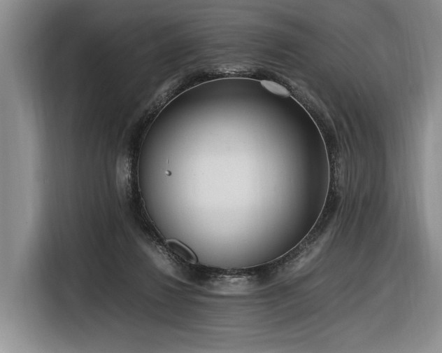 X0000116560260200912171415