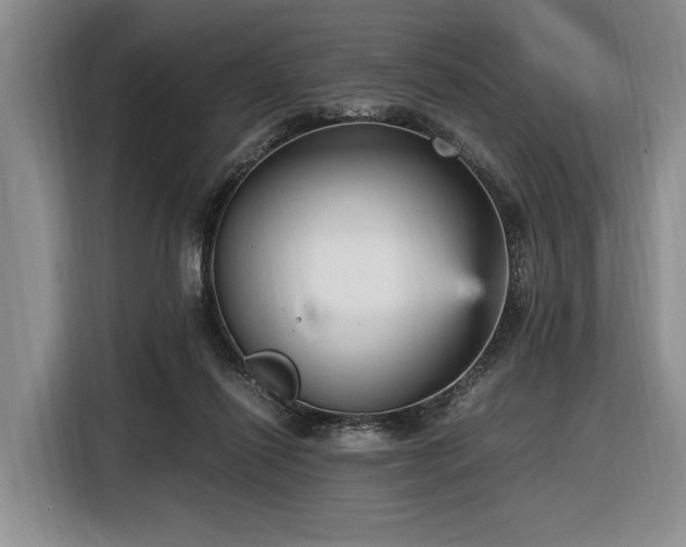 X0000116560262200912171415