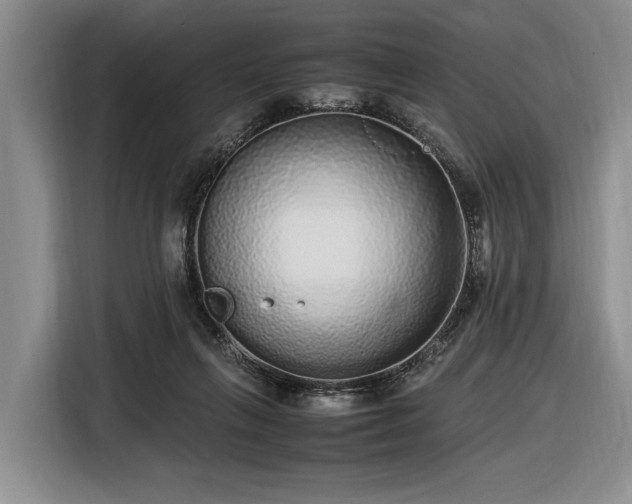 X0000116560263200912171415