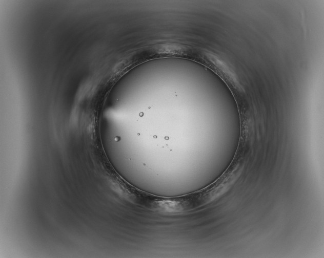 X0000116560265200912171415