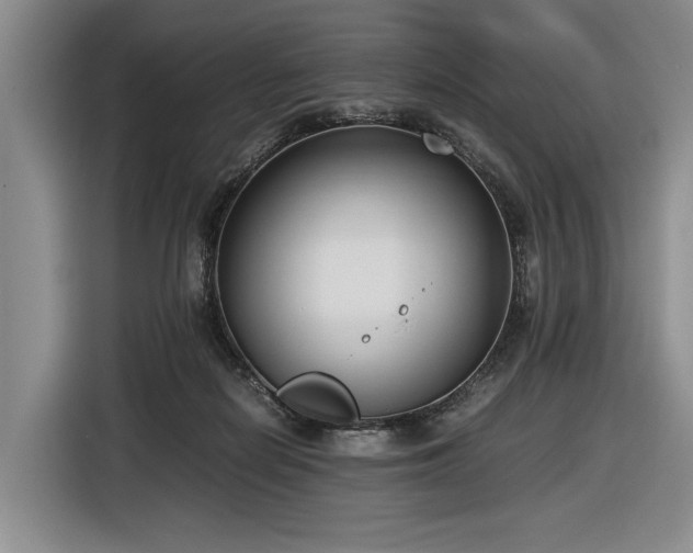 X0000116560266200912171415