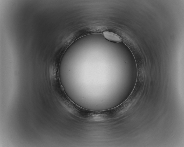 X0000116560268200912171415