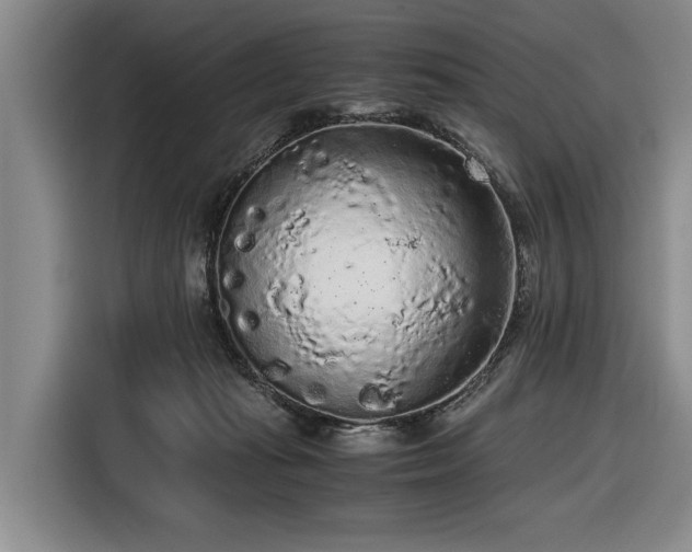 X0000116560269200912171415