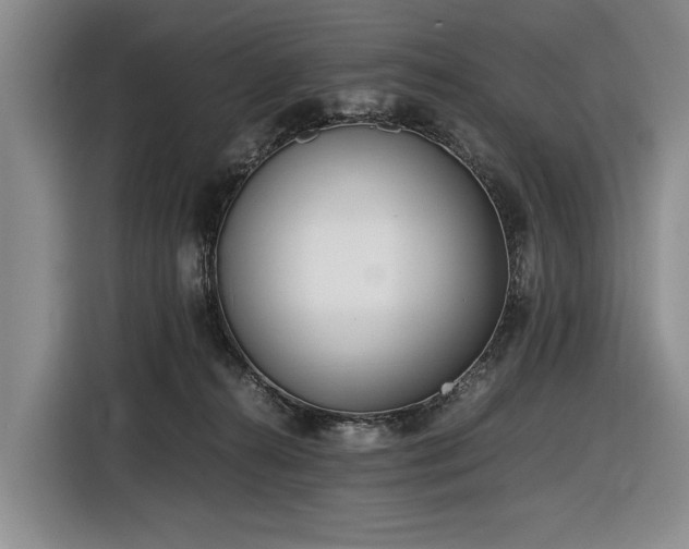 X0000116560272200912171415