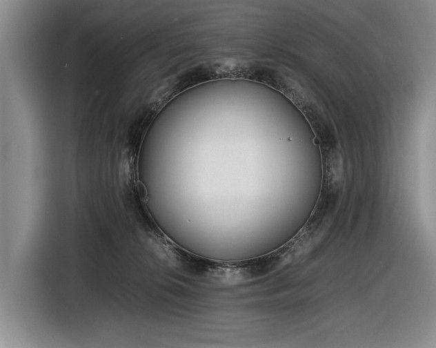 X0000116560276200912171415