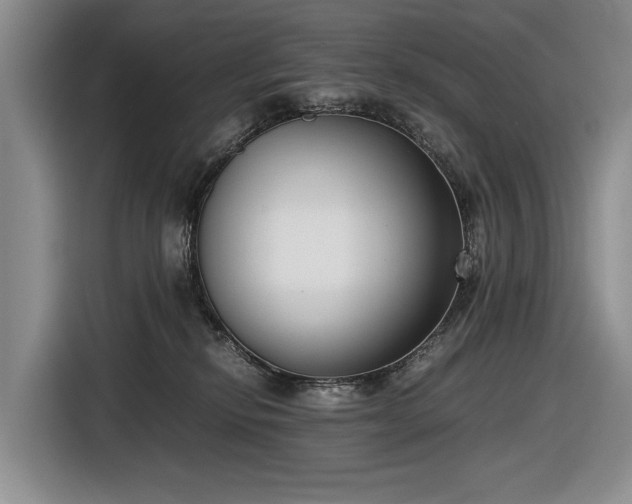 X0000116560278200912171416