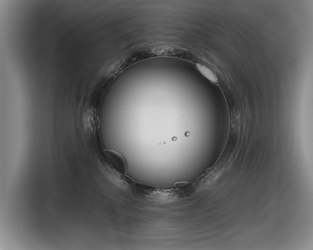 X0000116560280200912171416