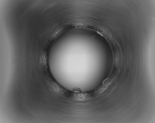 X0000116560282200912171416