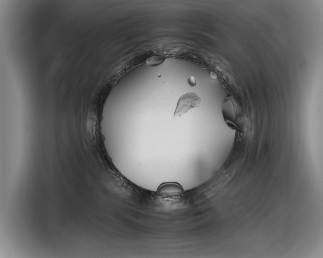 X0000116560283200912171416