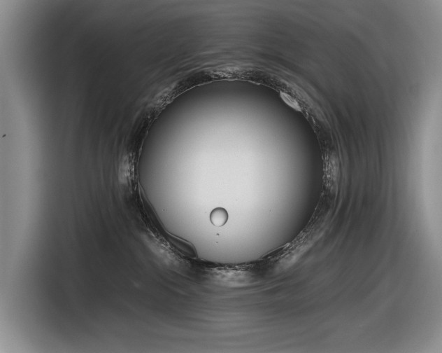 X0000116560284200912171416