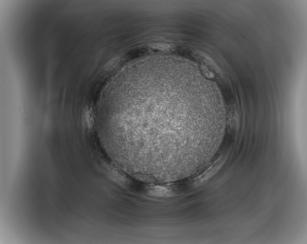 X0000116560285200912171416