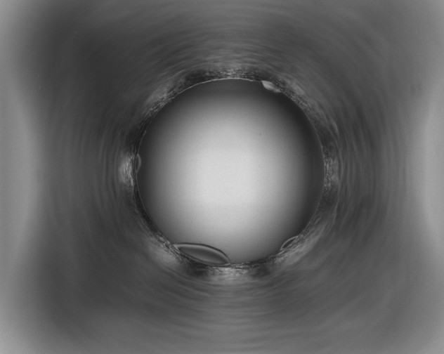 X0000116560286200912171416