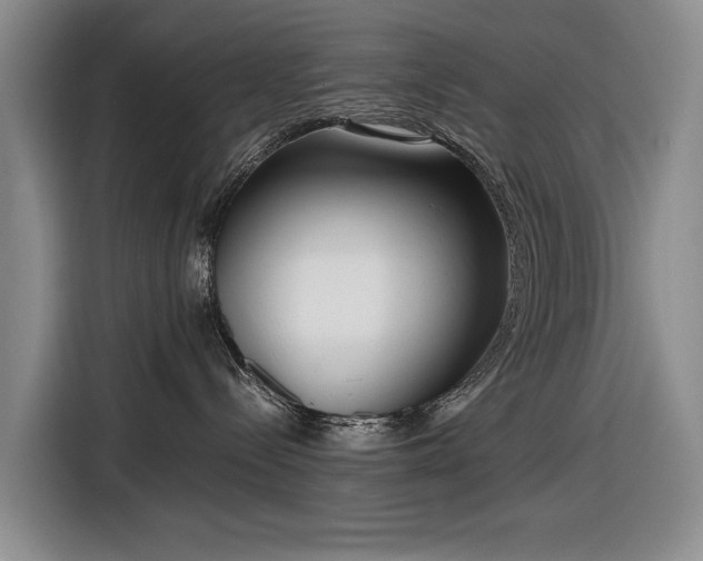 X0000116560288200912171416