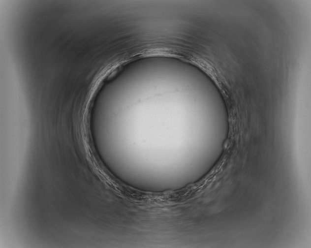 X0000116560289200912171415