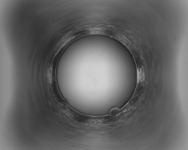 X0000116560291200912171415