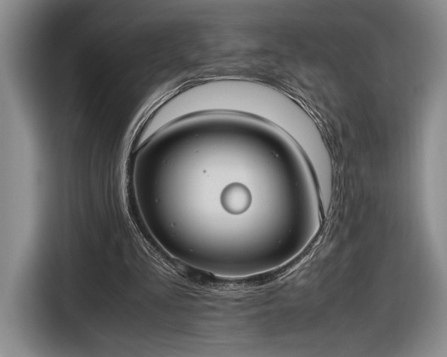 X0000116560293200912171415