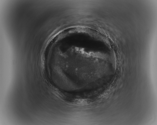 X0000116560295200912171415