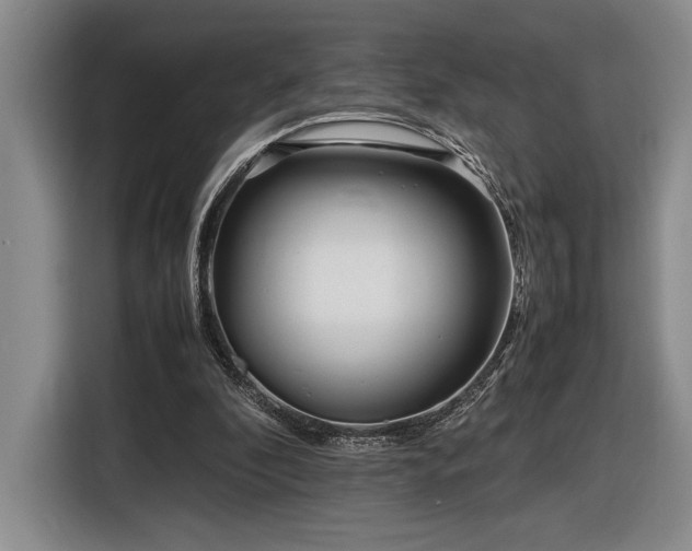 X0000116560296200912171415